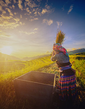 Những hành trình được yêu thích nhất năm 2023