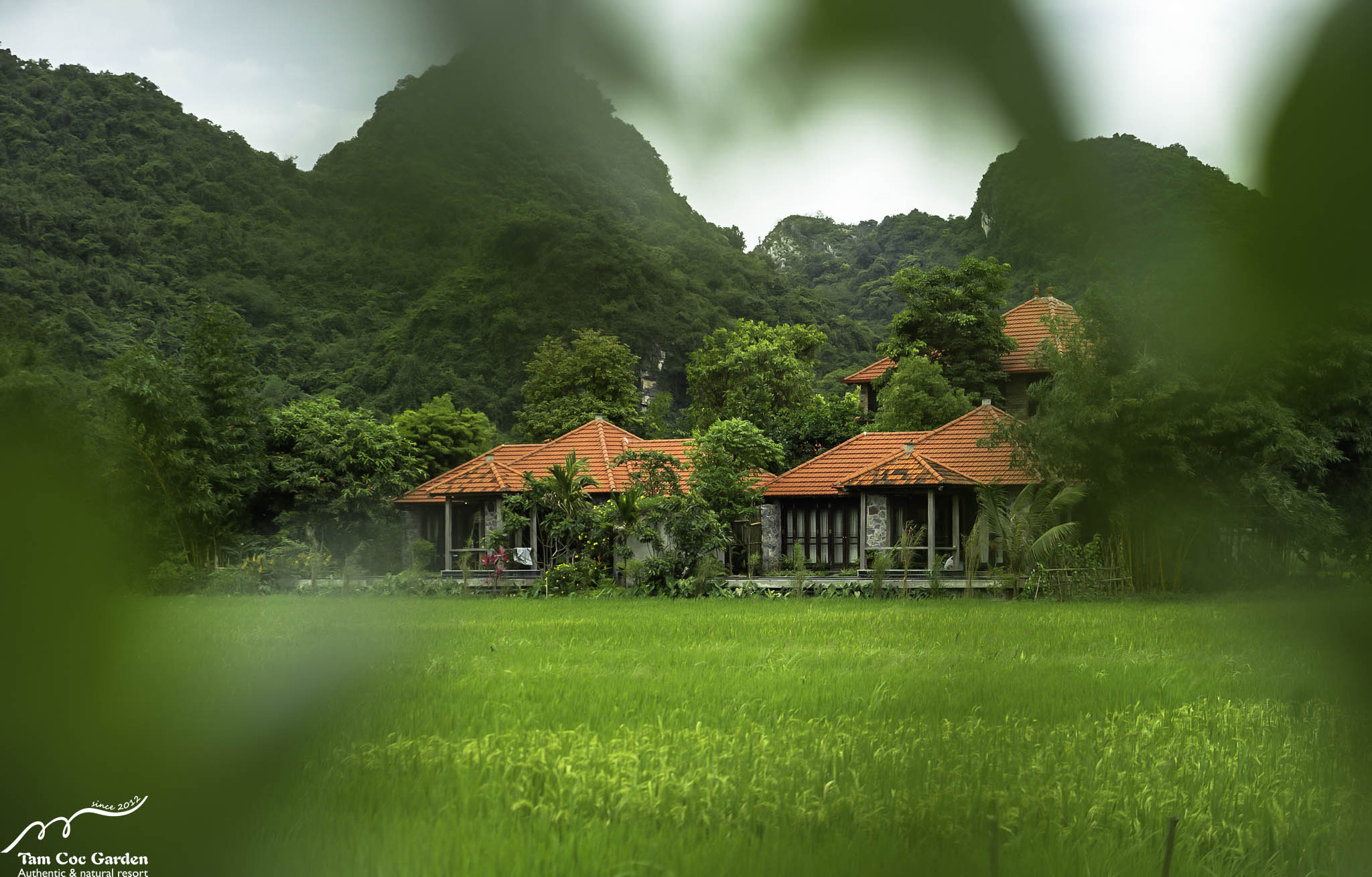 TAM CỐC GARDEN NINH BÌNH