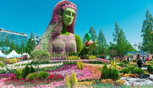 Trải nghiệm lễ hội hoa độc đáo tại Hàn Quốc