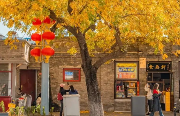 Vẻ đẹp trầm mặc đầy yên bình tại những con ngõ Hutong