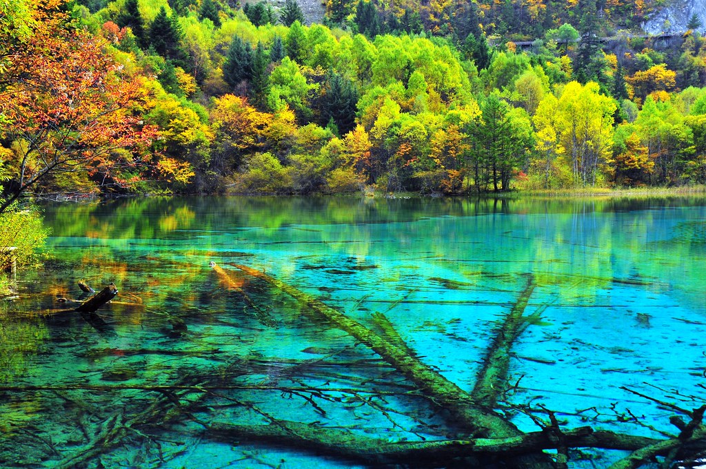 Five-Flower Lake 五花海| Jiuzhaigou, Sichuan, China 四川九寨溝| MelindaChan ^..^ | Flickr