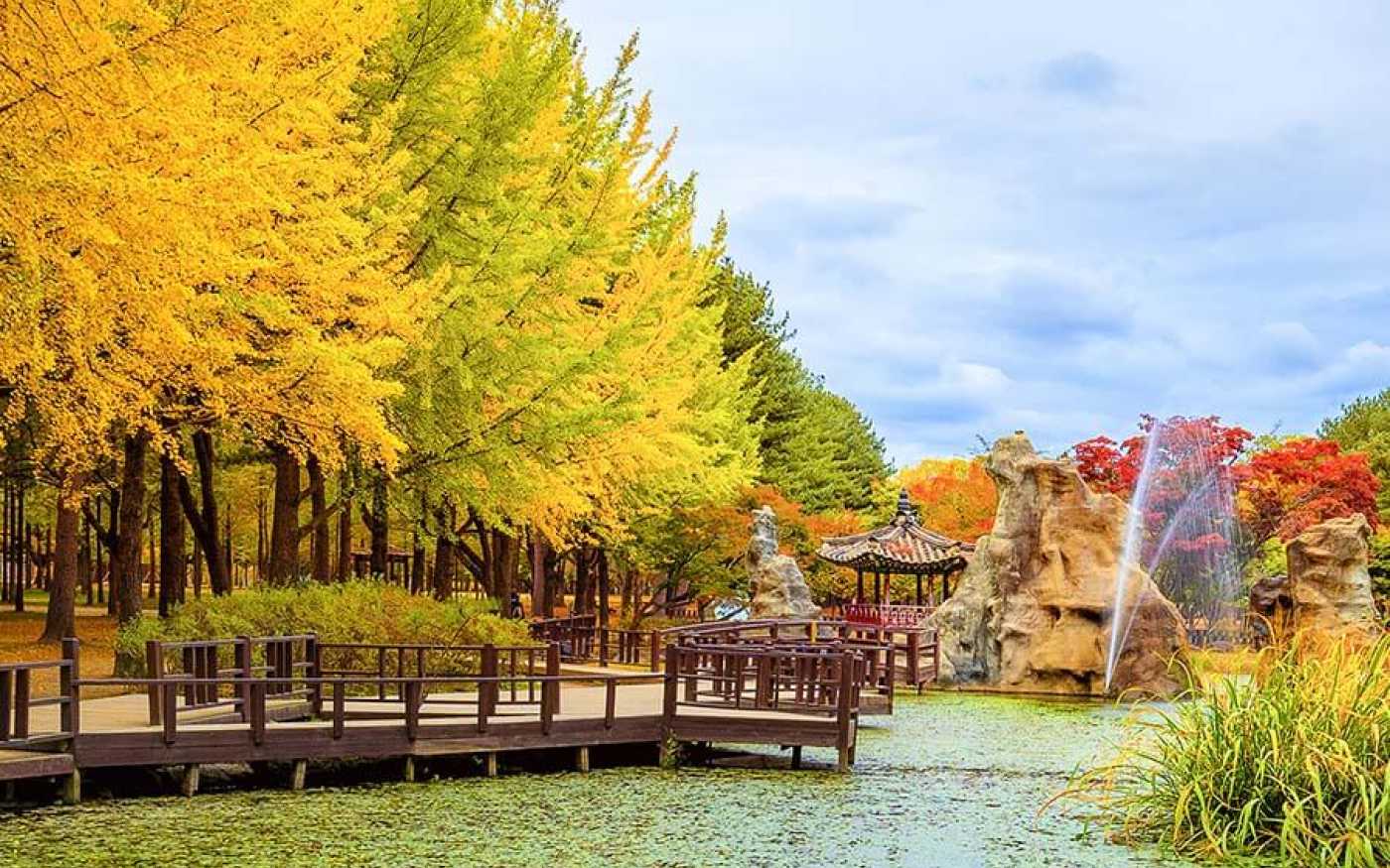Đảo Nami có gì đẹp? Cẩm nang du lịch đảo Hàn ...