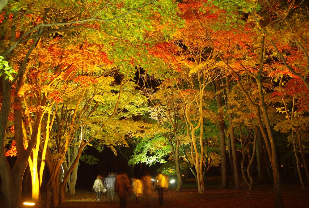 Miharashi Park (Kosetsuen) | Sightseeing Spots | Travel Hakodate