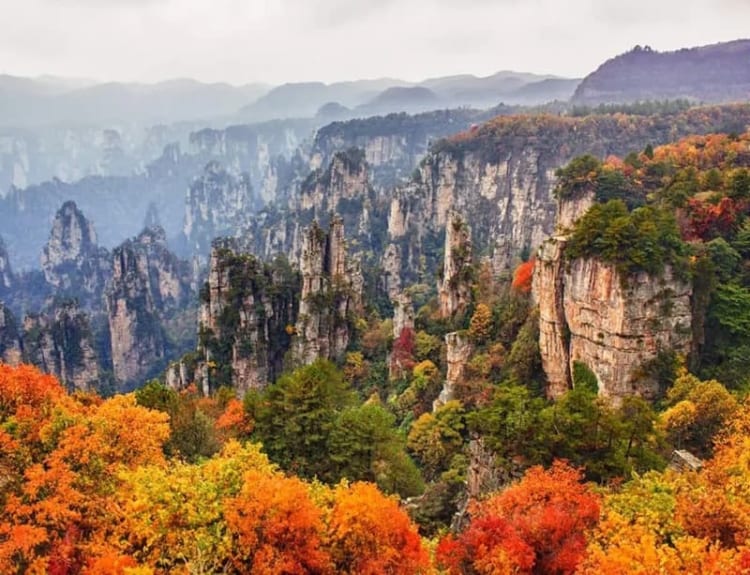 Khung cảnh huyền bí khó tìm thấy chỉ có tại Trương Gia Giới