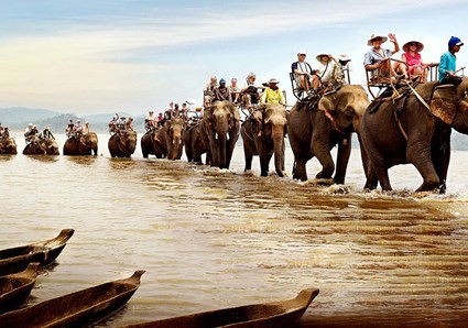 KHÁM PHÁ ĐẠI NGÀN TÂY NGUYÊN HÙNG VĨ PLEIKU- BUÔN MÊ THUỘT  MÙA HOA DÃ QUỲ