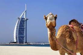 CHƯƠNG TRÌNH TẾT ÂM LỊCH 2024 HCM - DUBAI – ABU DHABI 5N4Đ