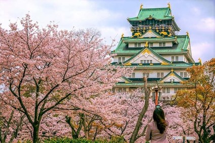 DU LỊCH NHẬT BẢN MÙA HOA  HÀ NỘI – OSAKA – KYOTO –  PHÚ SĨ - TOKYO