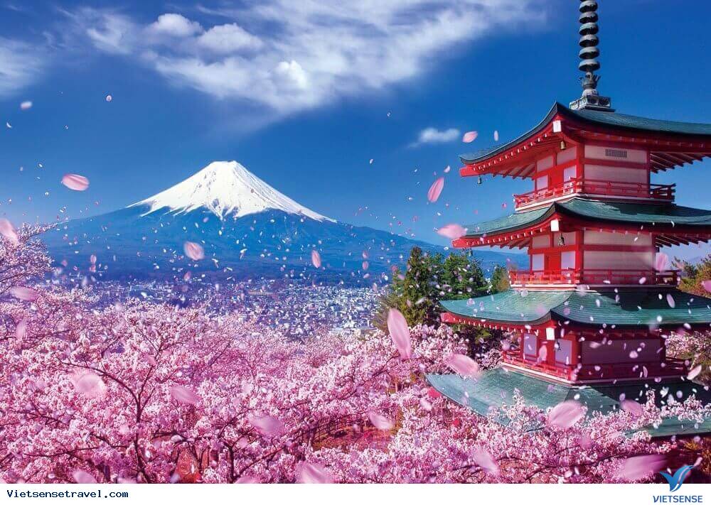DU LỊCH NHẬT BẢN MÙA HOA ANH ĐÀO TOUR CHẤT LƯỢNG CAO (TOKYO – PHÚ SĨ – KYOTO – OSAKA) 