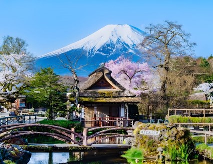 DU LỊCH NHẬT BẢN MÙA HOA ANH ĐÀO HÀ NỘI – FUJI - TOKYO– CHIBA - HÀ NỘI