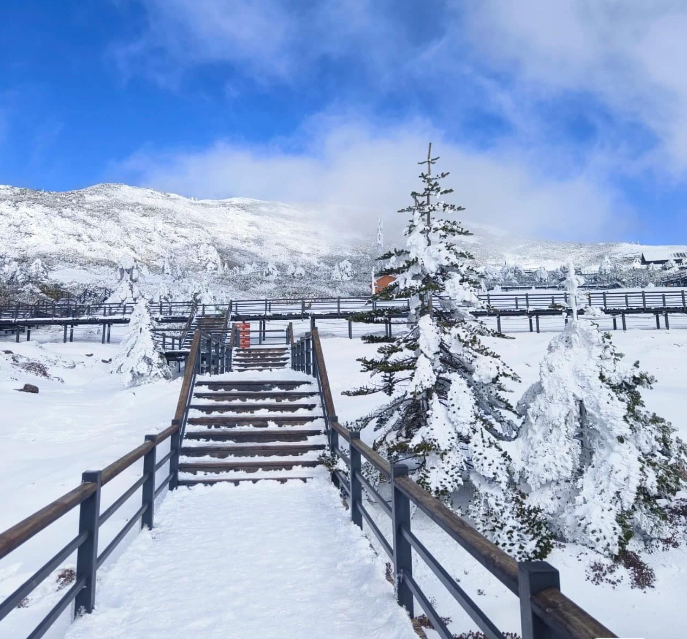 HÀ NỘI - HÀ KHẨU – CÔN MINH – NÚI KIỆU TỬ - HỒ ĐIỀN TRÌ – CHỢ HOA ĐẤU NAM 4N3Đ